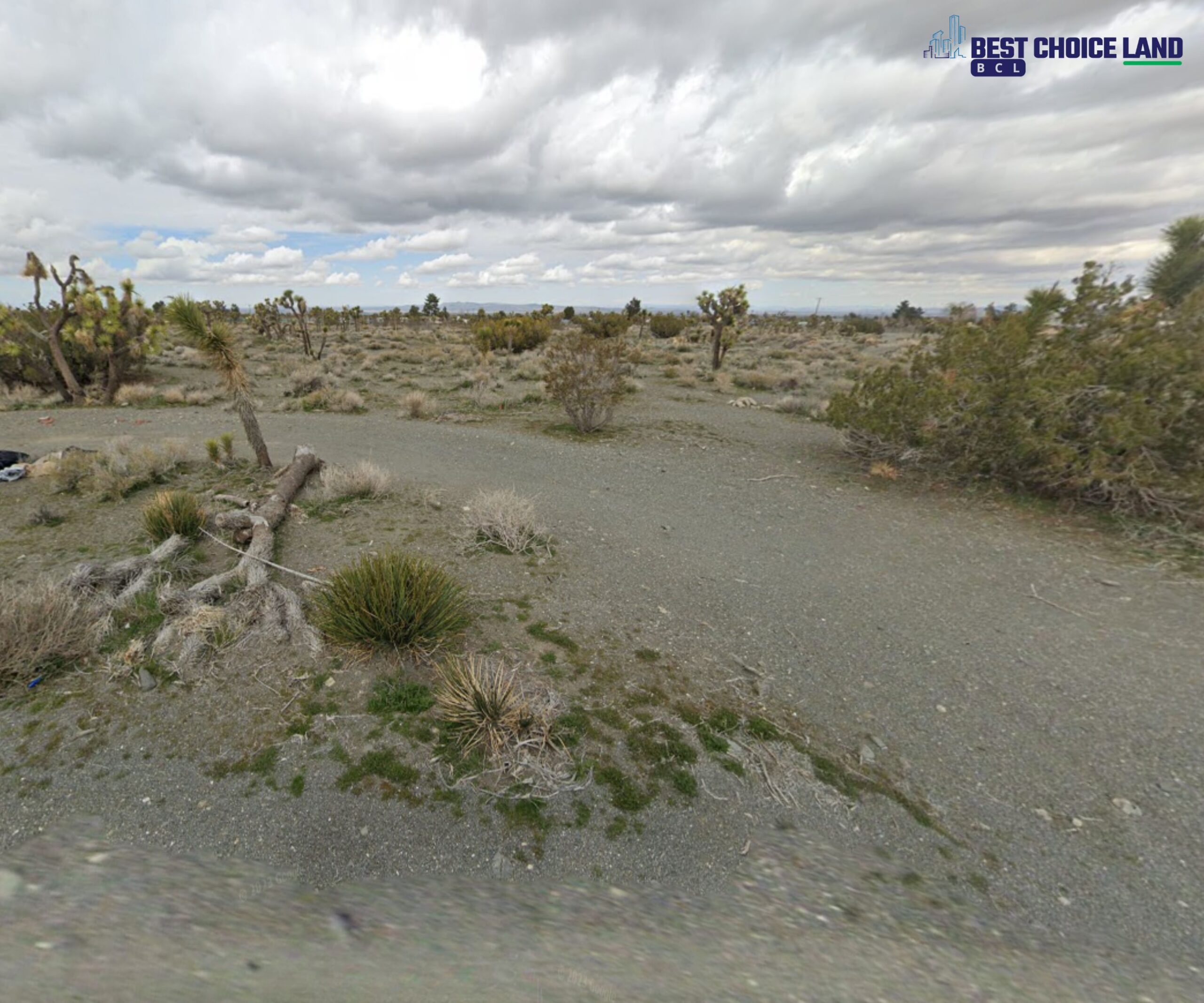 Land Street View